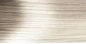 10.01 silver blonde