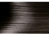 3.1 black brown