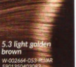 5.3 light golden brown