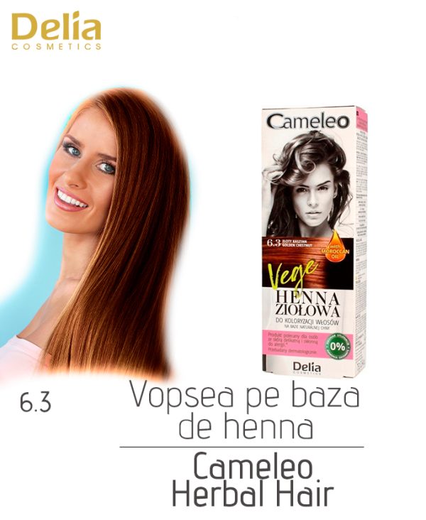 Vopsea pe baza de henna Cameleo Herbal Hair, 75 g - imagine 3