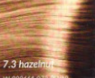 7.3 hazelnut