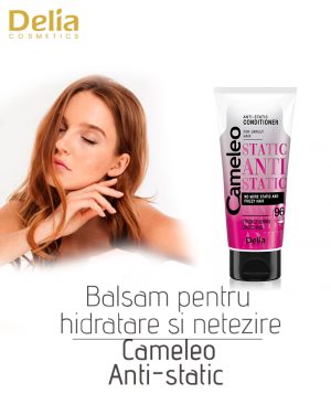 Balsam pentru netezirea si hidratarea parului Cameleo Anti-Static, 200 ml