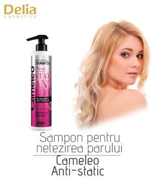Sampon pentru netezirea parului Cameleo Anti-Static, 250 ml