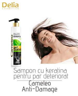 Sampon cu keratina pentru par deteriorat Cameleo Anti-damage, 250 ml