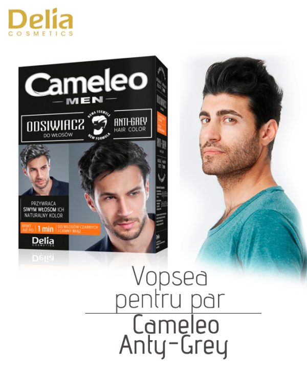 Vopsea pentru par carunt Cameleo Anti-Grey