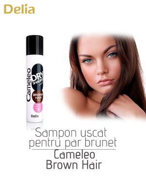 Sampon uscat pentru par brunet Cameleo Brow Hair, 200 ml