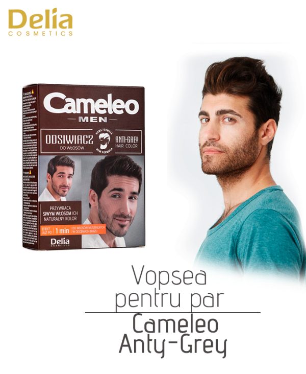 Vopsea pentru par carunt Cameleo Anti-Grey - imagine 2