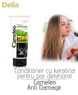 Conditioner cu keratina pentru par deteriorat Cameleo Anto Damage, 200 ml