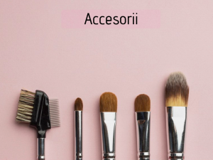 Accesorii