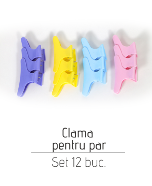 Clama pentru par Set (12 buc)
