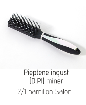 Pieptene ingust (D.Pl) miner 2/1 hamilion Salon
